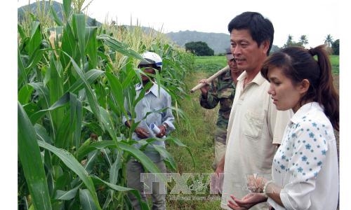 APEC 2017: Ưu tiên về an ninh lương thực và nông nghiệp thích ứng với biến đổi khí hậu